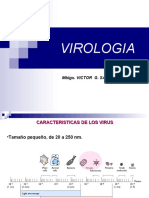 Clase 6 Virologia