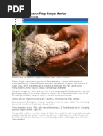 Download Ubi Hutan Ini Beracun Tetapi Banyak Manfaat by alimlendeo26 SN336329558 doc pdf