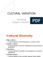 Soc CH 2 Sect 2 CULTURAL Diversity PPT Two Craig