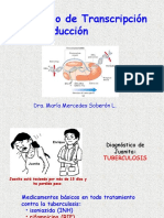 2015-Transcripción y Traducción