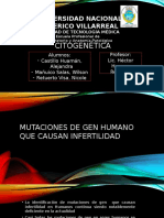 Citogenética PDF 14 A-B-C