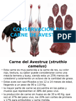 Conservación de Carne de Avestruz