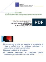 Uciderea animalelor in focar M.ppt