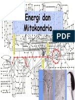 Energi dan Mitokondria.pdf