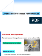 Aula 10 - Cinética Dos Processos Fermentativos