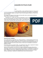 Beneficiile Consumului de Fructe Kaki Persimone