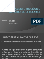 Tratamento Biológico Aeróbio de Efluentes