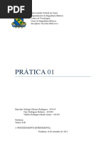 Prática 01