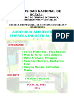 Repartir Trabajo Originl Aud Ambiental