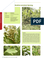 Clerodendron Serratum Spreng PDF