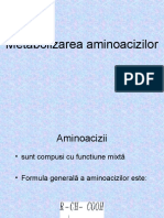 Metabolizarea Aminoacizilor