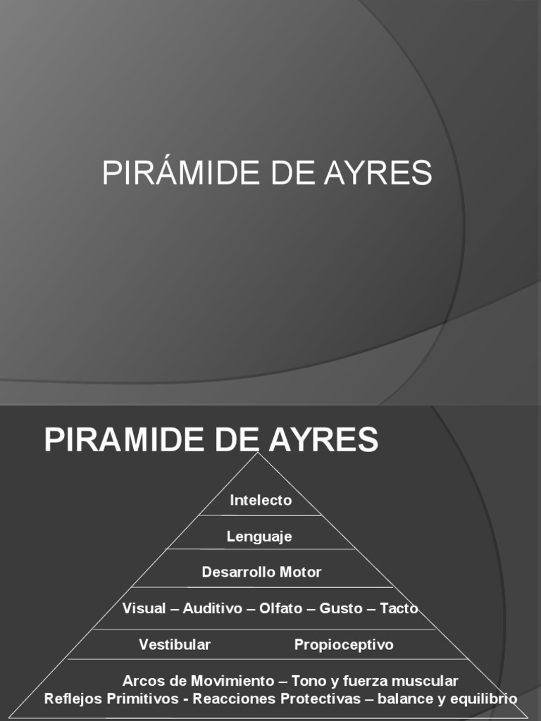 Pirámide de Ayres | PDF | Cerebro | Músculo