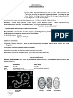 Laboratorio Parasitologia