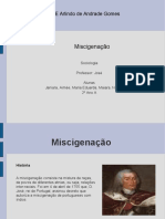 Miscigenacão