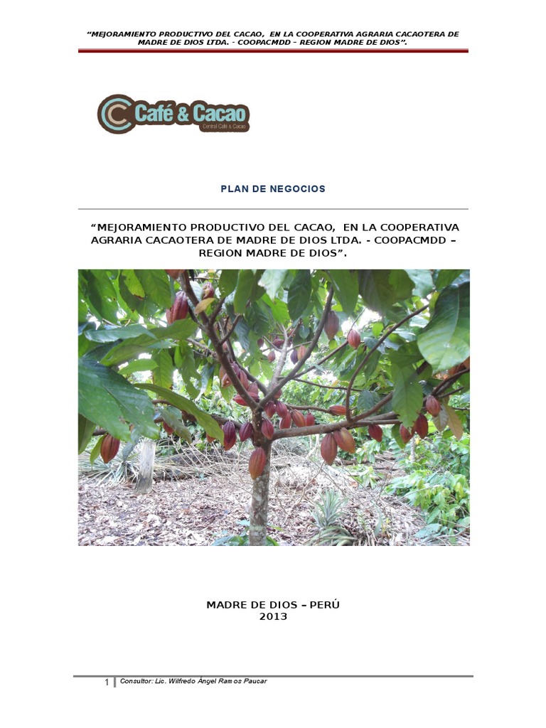 Plan De Negocio De Cacao Mdd Agroideas Pdf Agricultura Cooperativa