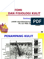 Anatomi Dan Fisiologi Kulit