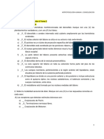 Morfofisiología Humana II: Diencéfalo y Dolor