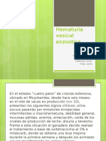 Hematuria Vesical Enzootica (2)