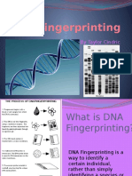 DNA Fingerprinting: by Taylor Cindric