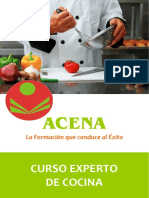 Curso Experto Cocina