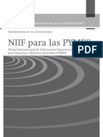 Niif Pymes - Fundamentos para Las Conclusiones