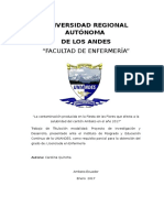 proyecto_ambiental