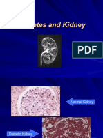 Diabetes and Kidney