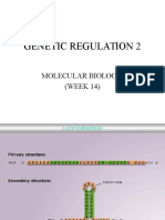 Week14-GeneticRegulation2