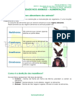 1.3 Diversidade Dos Animais Alimentação Ficha Informativa PDF