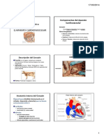 3 Sistema Cardiovascular y Respiratorio