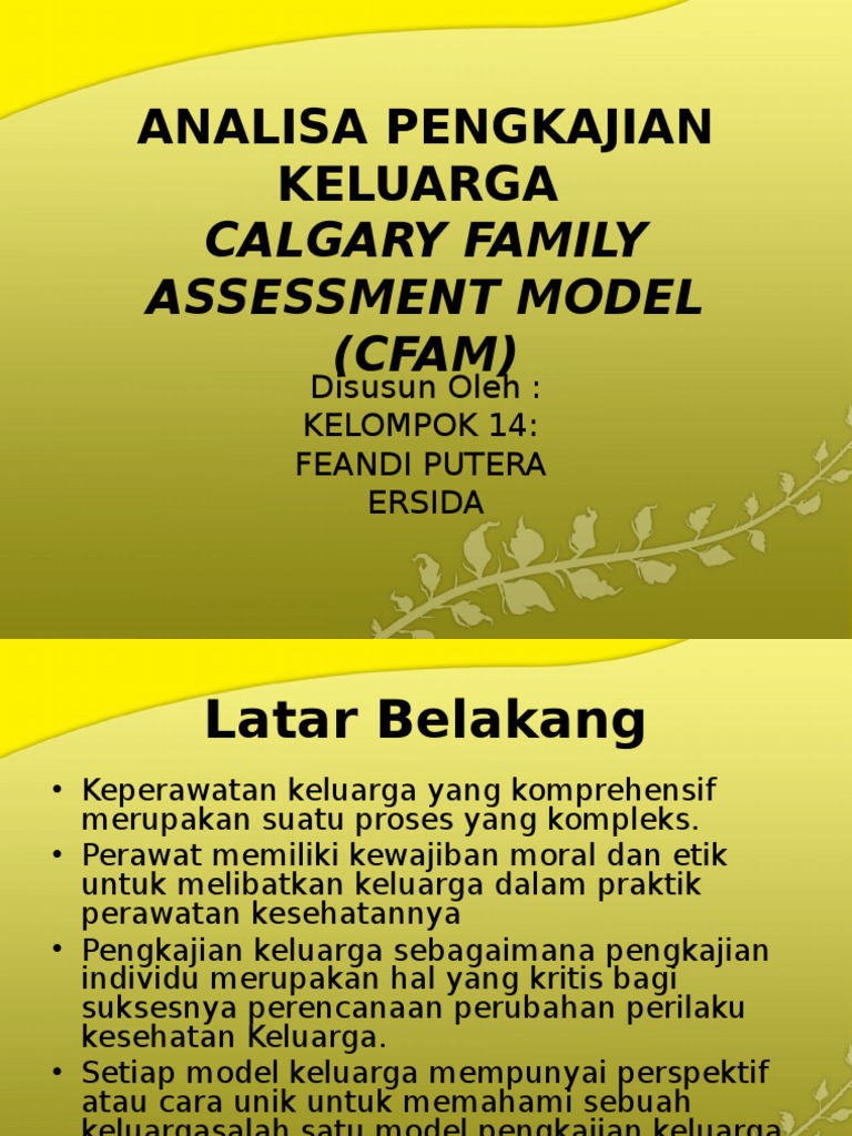Analisis Calgary Family Assessment Model | PDF