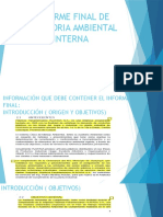 Informe Final de Auditoria Ambiental Interna - Empresa Plapasa