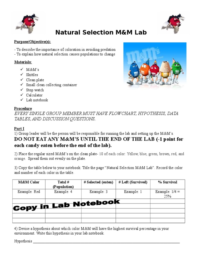 Natural Selection M and M Lab PDF Notebook Color