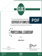 Professional Leadership Template27