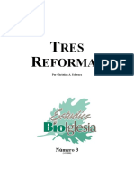 Schwarz Christian - Tres Reformas PDF