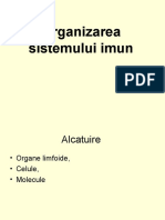 3aOrganizarea sistemului imun