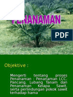 Penanaman