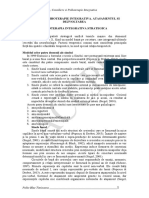 Modul 4F. Atasament Si Dezvoltare PDF