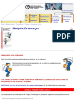 ManipulacionDeCargas.pdf