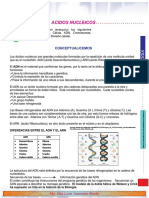 Modulo Promotor de Aprendizaje Acidos Nucleicos PDF