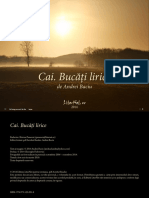 abaciucaibucatilirice.pdf
