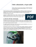 Sin título 1.pdf