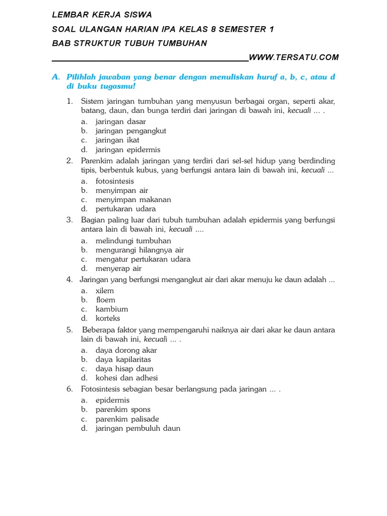 Soal Uh Ipa Kelas 8 Bab Struktur Dan Fungsi Tubuh Tumbuhan Semester 1 Pdf