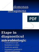 Pseudomonas Aeruginosa Petrusan Sorina