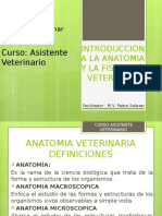 Introducción A La Anatomia y Fisiología Veterinaria Curso