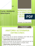 Introducción a La Anatomia y Fisiología Veterinaria Curso