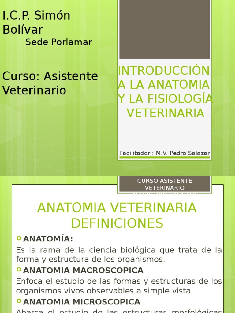 Introducción A La Anatomia Y Fisiología Veterinaria Curso Descargar