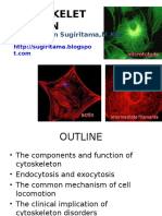 Cytoskelet ON: Dr. I Wayan Sugiritama, M.Kes