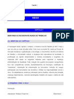 Administracao - Mudancas & Perspectivas - Cap 1 - Inconstante Mundo Do Trabalho PDF