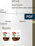 This Type of Reproduction Only Requires One Parent.: Roots Stems Leaves